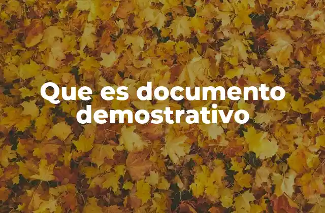 Que es Documento Demostrativo