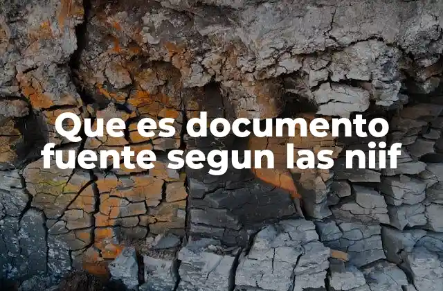 Que es Documento Fuente Segun las Niif