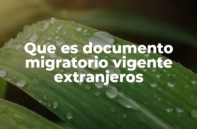 Que es Documento Migratorio Vigente Extranjeros 2 La importancia de los documentos migratorios en el contexto internacional