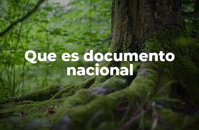 Que es Documento Nacional
