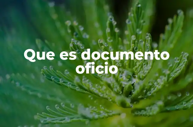 El rol de los documentos oficiales en la administración
