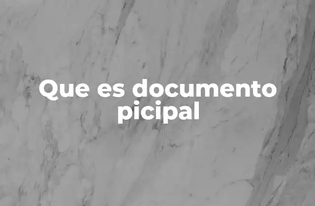 Que es Documento Picipal