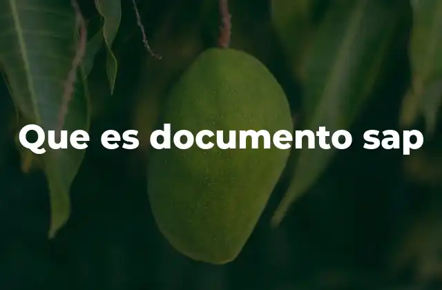 Que es Documento Sap
