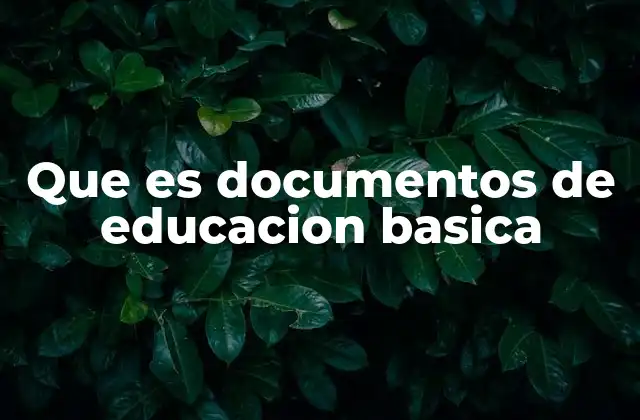 Que es Documentos de Educacion Basica