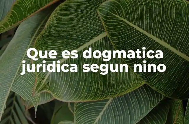 Que es Dogmatica Juridica Segun Nino