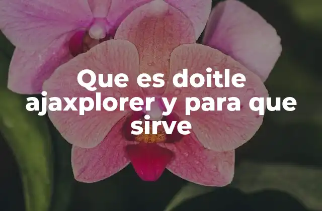 Que es Doitle Ajaxplorer y para que Sirve 2 ¿Cómo se diferencia Doitle Ajaxplorer de otras herramientas de gestión de archivos?