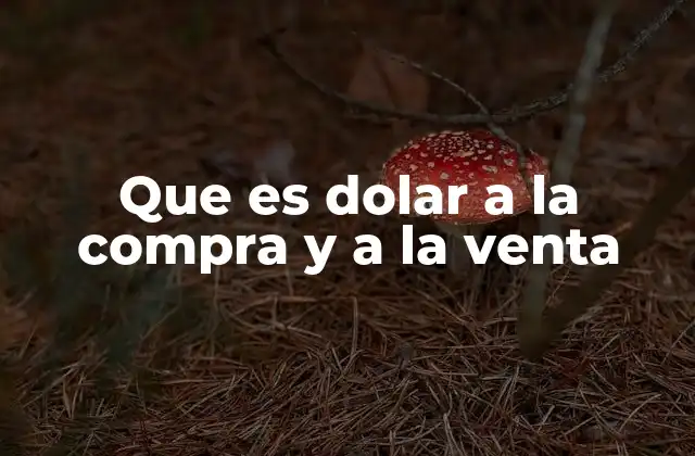Que es Dolar a la Compra y a la Venta