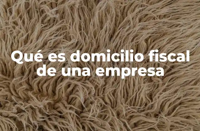 Qué es Domicilio Fiscal de una Empresa