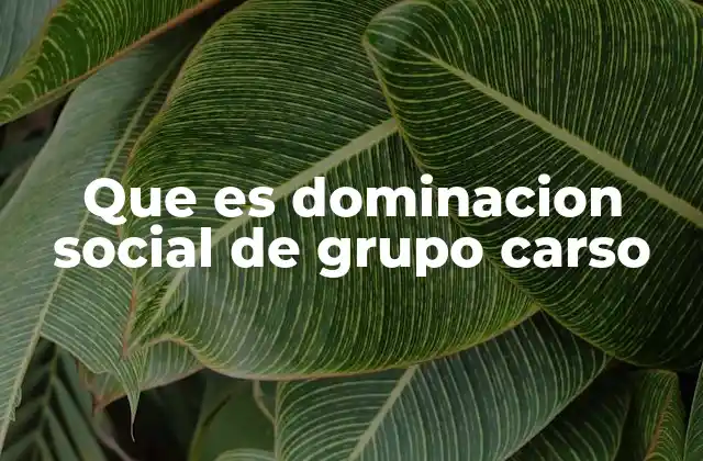 Que es Dominacion Social de Grupo Carso