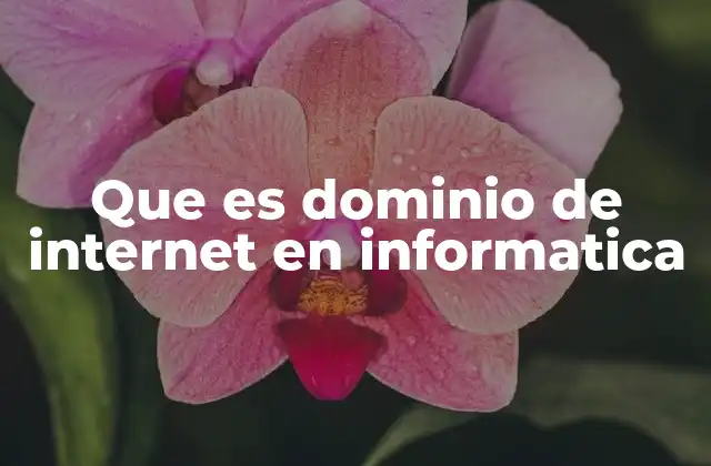Cómo funciona la estructura de los dominios en Internet