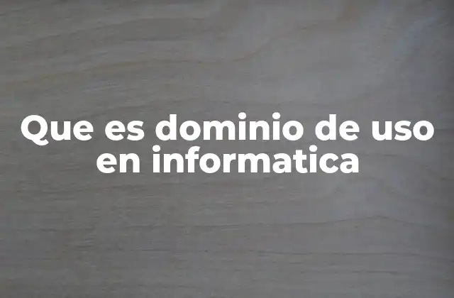 Que es Dominio de Uso en Informatica