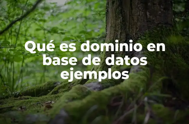 Qué es Dominio en Base de Datos Ejemplos