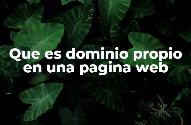 Que es Dominio Propio en una Pagina Web 2 La importancia de tener un dominio propio