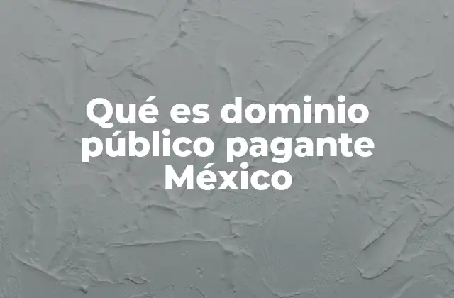 Qué es Dominio Público Pagante México