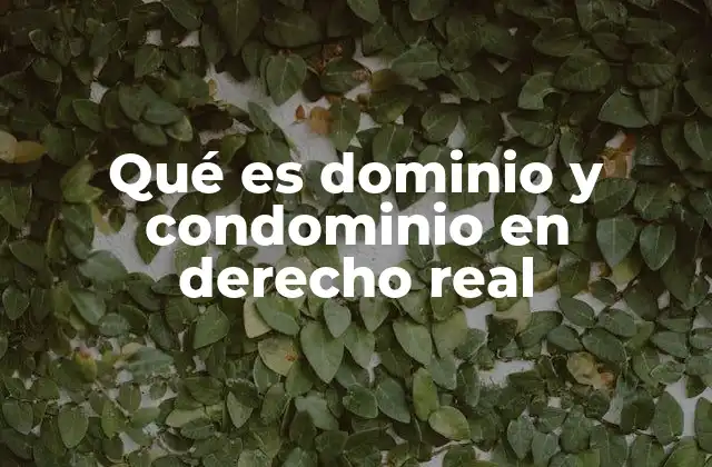 La importancia de diferenciar dominio y condominio