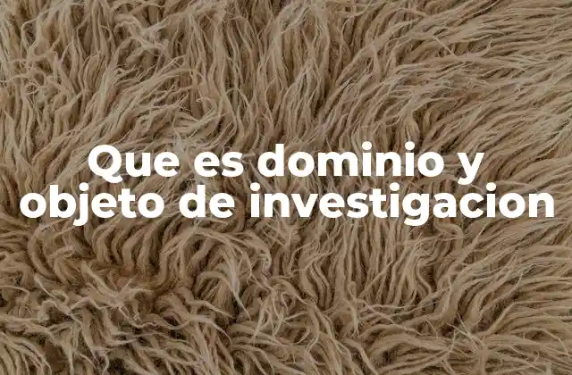 Que es Dominio y Objeto de Investigacion 2 La importancia de delimitar el campo de estudio