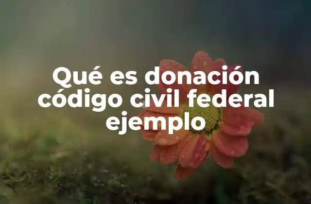 Qué es Donación Código Civil Federal Ejemplo