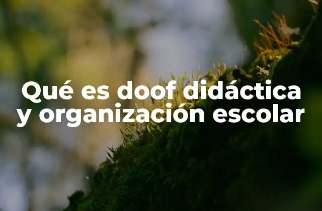 Qué es Doof Didáctica y Organización Escolar