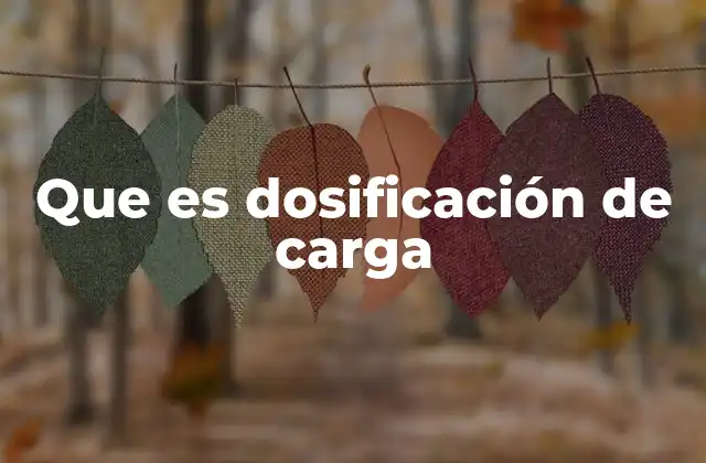 Que es Dosificación de Carga