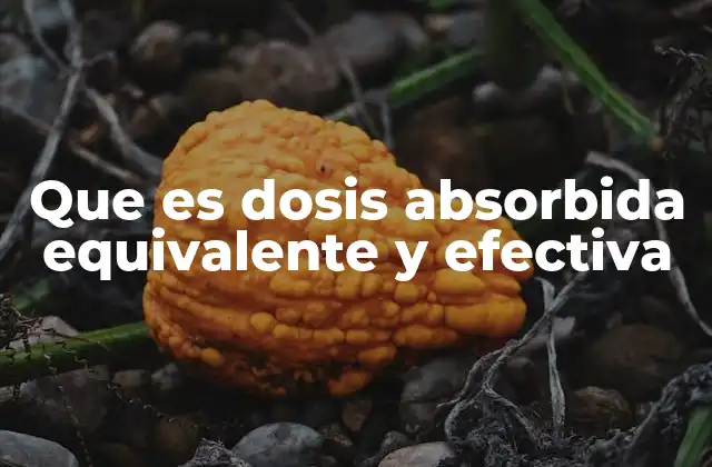 Medición de la exposición radiológica en la vida cotidiana