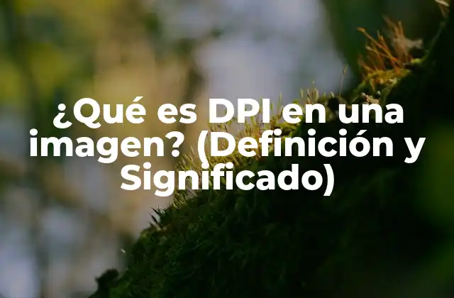 ¿qué es Dpi en una Imagen? (definición y Significado)