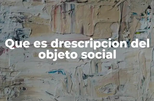 La drescripción del objeto social y su relevancia en la constitución de sociedades