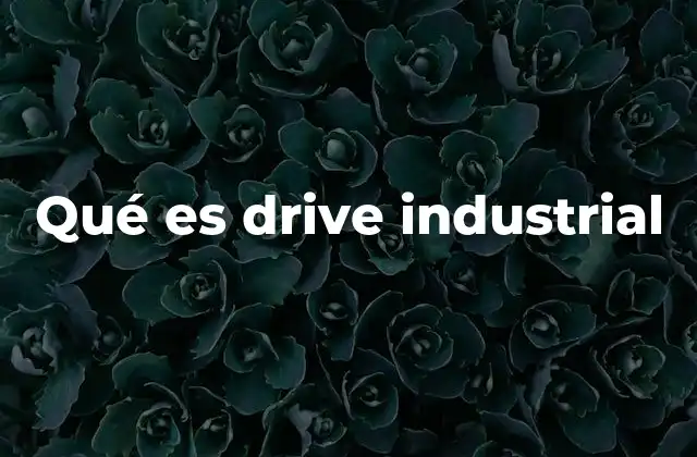 Qué es Drive Industrial