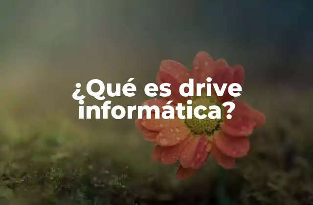¿qué es Drive Informática?