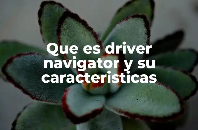 Que es Driver Navigator y Su Caracteristicas