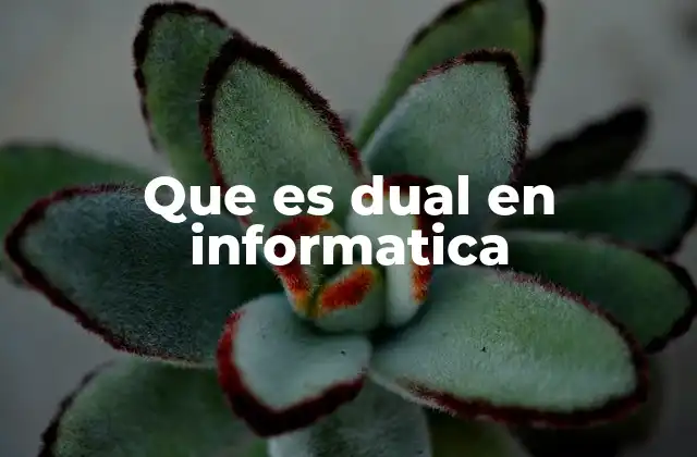 Que es Dual en Informatica 2 Sistemas y dispositivos con arquitectura dual