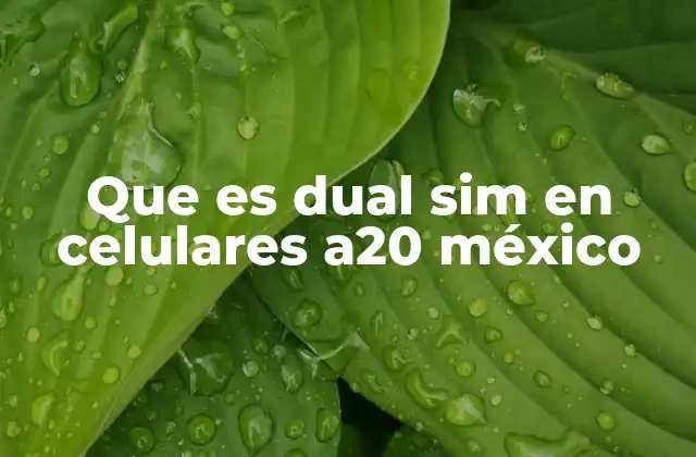 Que es Dual Sim en Celulares A20 México