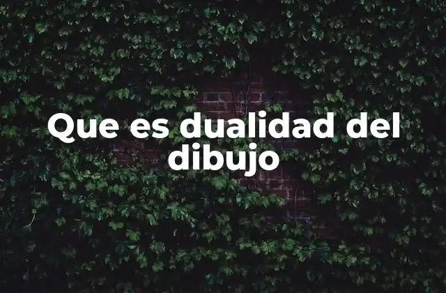 Que es Dualidad Del Dibujo