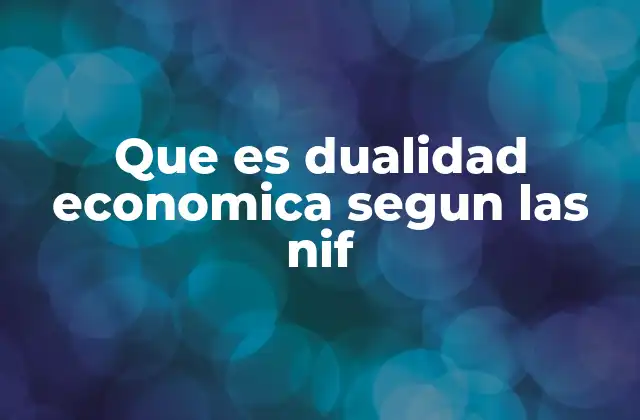Que es Dualidad Economica Segun las Nif