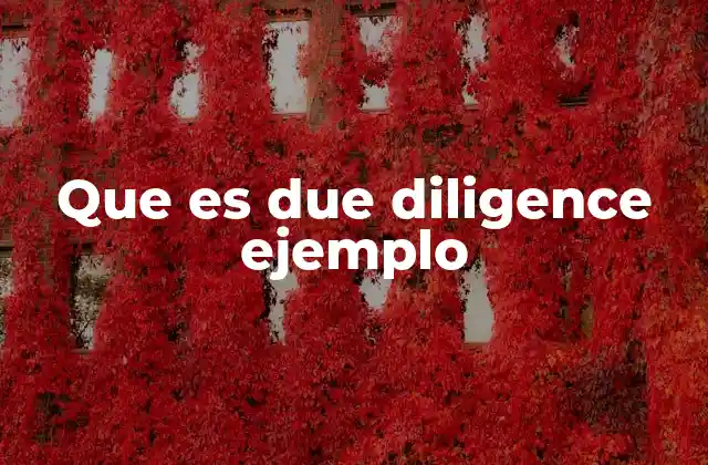 Que es Due Diligence Ejemplo