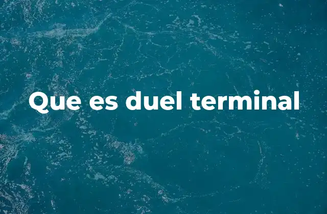 Que es Duel Terminal