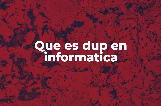 Que es Dup en Informatica