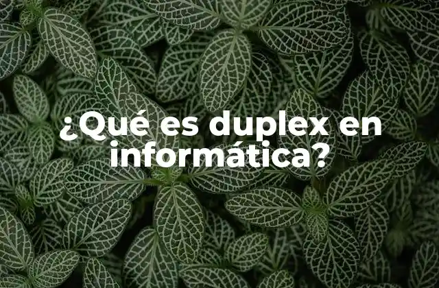 ¿qué es Duplex en Informática?