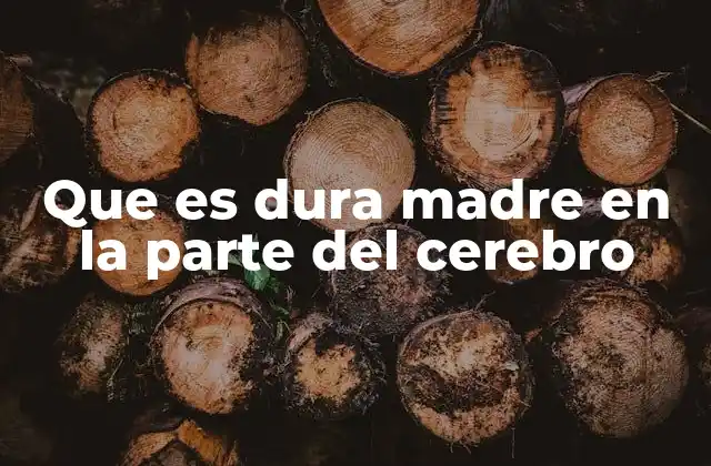Que es Dura Madre en la Parte Del Cerebro