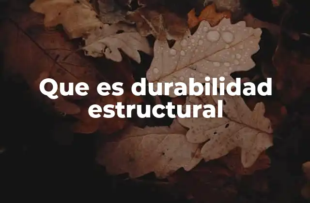 Que es Durabilidad Estructural