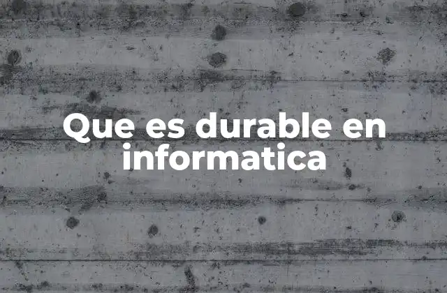 Que es Durable en Informatica