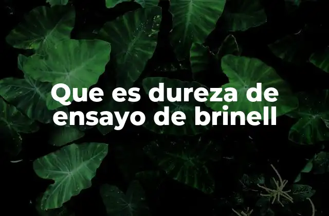 Que es Dureza de Ensayo de Brinell