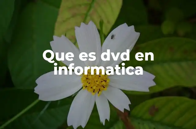 Que es Dvd en Informatica