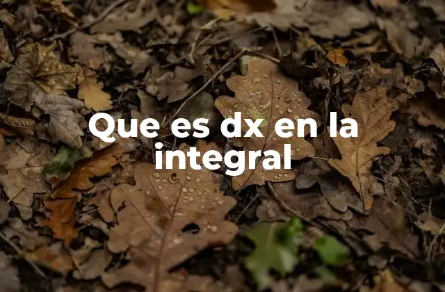 Que es Dx en la Integral