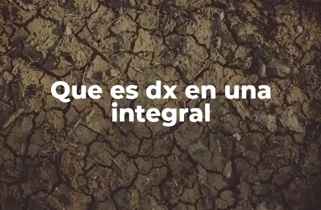 Que es Dx en una Integral