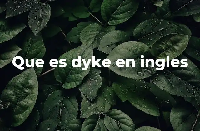 Que es Dyke en Ingles