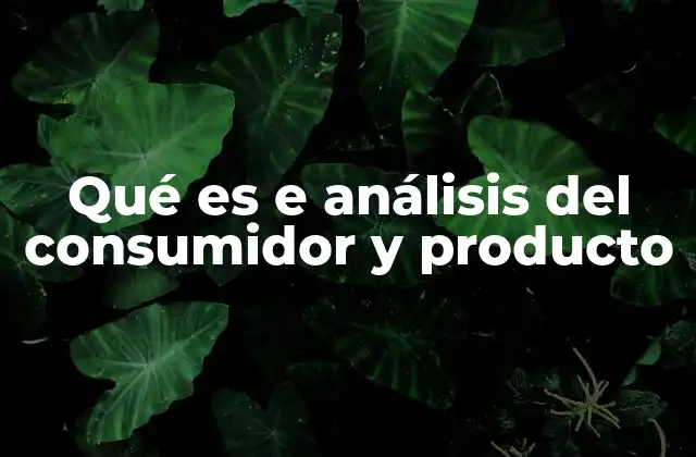 Qué es e Análisis Del Consumidor y Producto 2 Comprendiendo el comportamiento del cliente y la calidad del producto