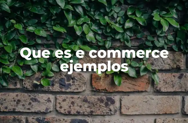 Que es e Commerce Ejemplos