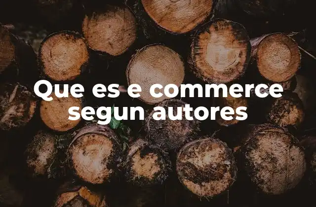 Que es e Commerce Segun Autores