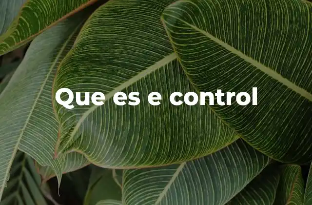 Que es e Control