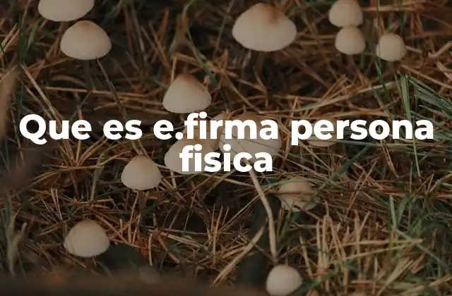 Que es E.firma Persona Fisica